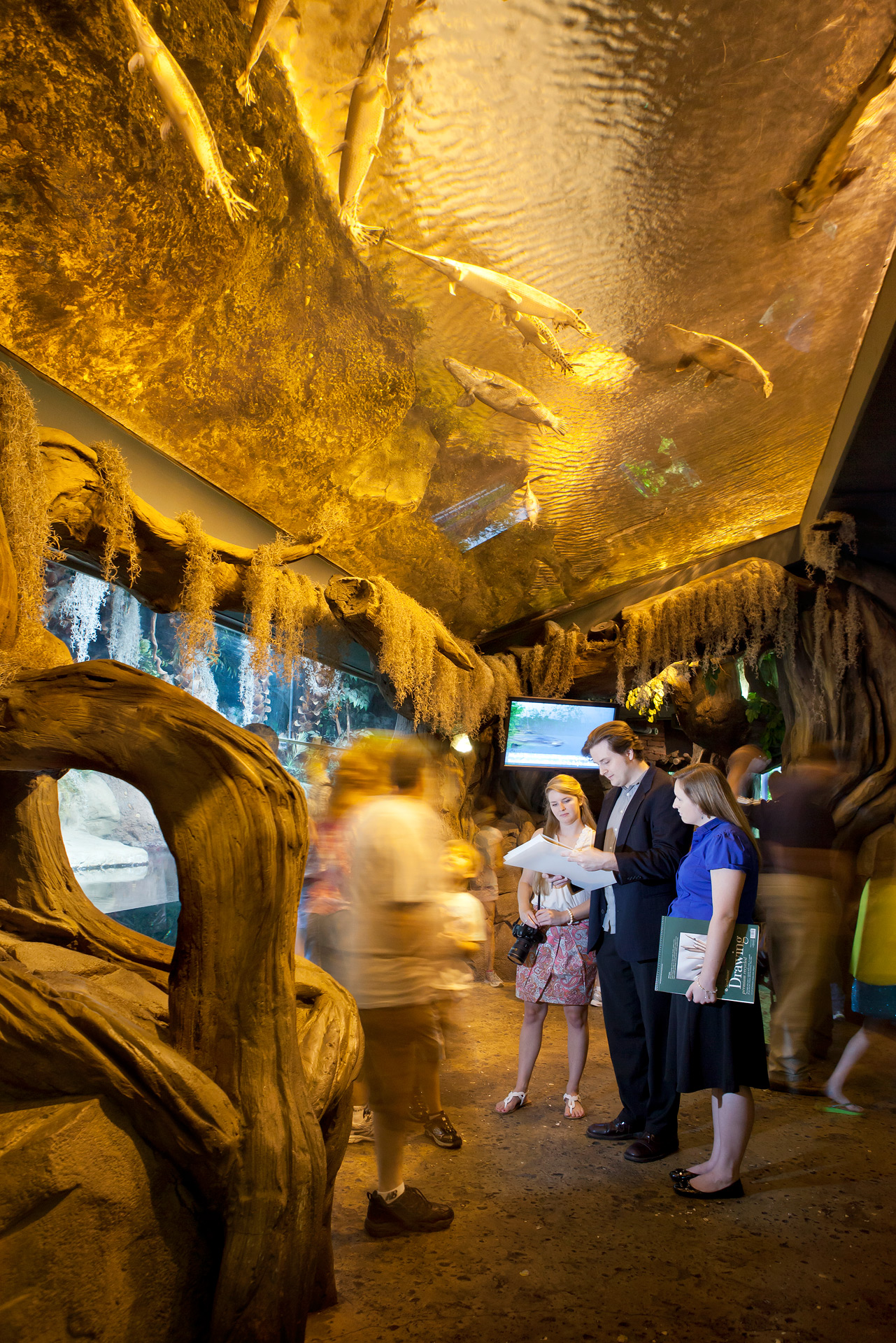 SCAD to offer the first M.F.A. in themed entertainment design SCAD.edu